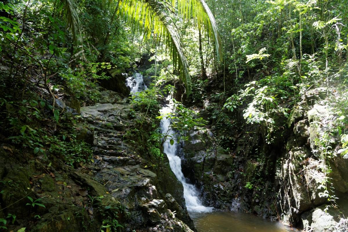 Tonsai Waterfall