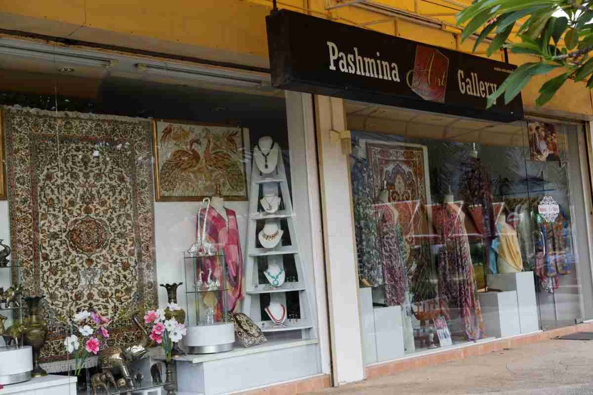 Pashmina Art