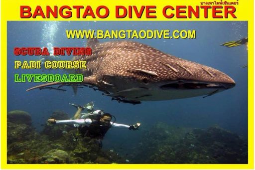 Bangtao Dive Center