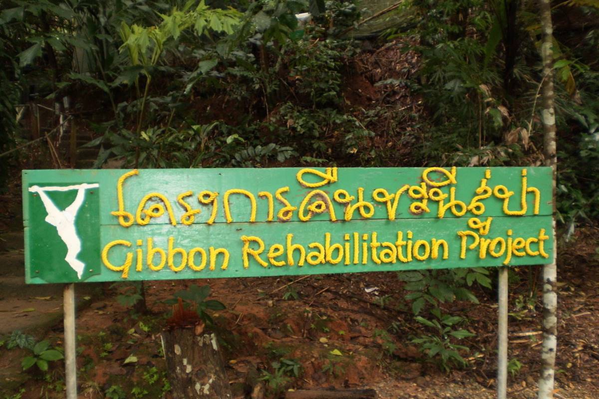 gibbon rehabilitation project phuket