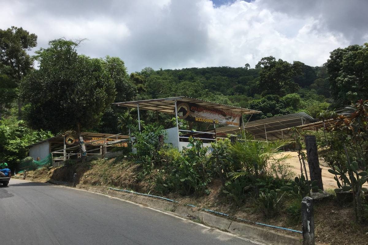 Phuket Mountain Horse Riding