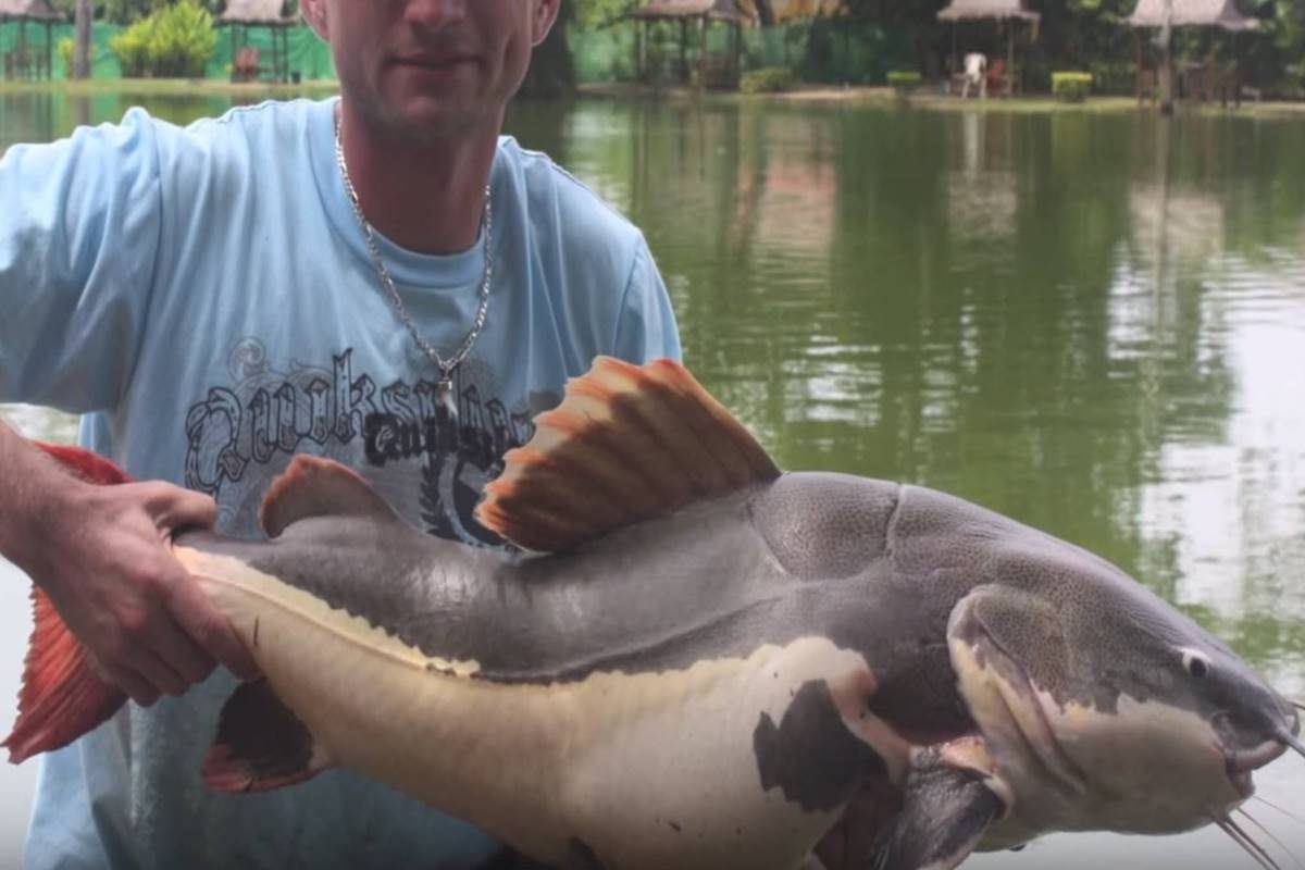 Phuket Fishing Park