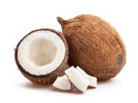 Coconut (มะพร้าว - Mapraw) Cocos nucifera